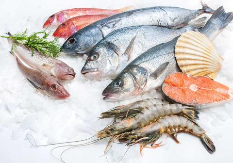 Fish & seafood